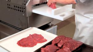 Пресс для мяса KT-LP