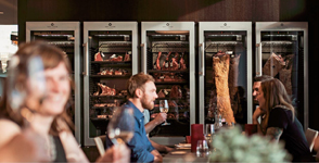 Шкаф для созревания мяса DRY AGER