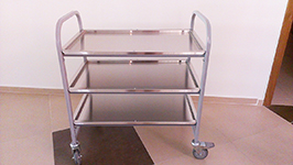 «Назарбаев Интеллектуальная школа химико-биологического направления»