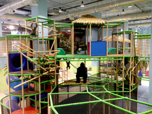 РЕШЕНИЕ: Детский развлекательный центр Суперзебрик