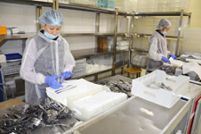 РЕШЕНИЕ: Фабрика кухня бортового питания «ЕСП»