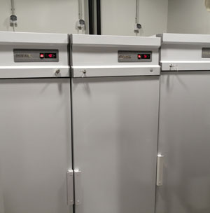 Кафе «Аленка»