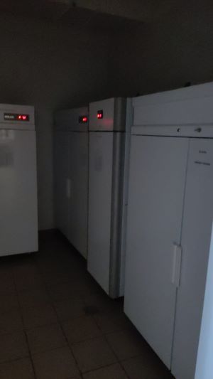 ДЕТСКИЙ ОЗДОРОВИТЕЛЬНЫЙ КОМПЛЕКС «АК БАРС»