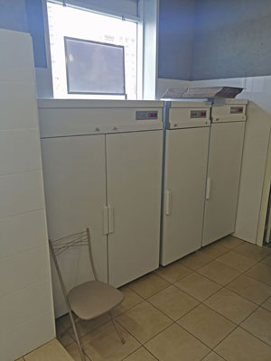 Кафе «Рыжий лис»