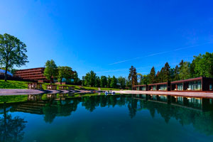 ФК Пересвет