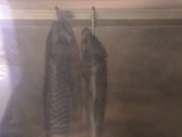 Подбор рецептур на фабрике-кухне сети "Азбука Вкуса"