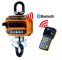 Электронные крановые весы CAS 5THD TWN