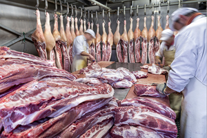 Русский проект - проектирование систем холодоснабжения