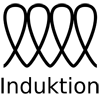Маркировка Induction